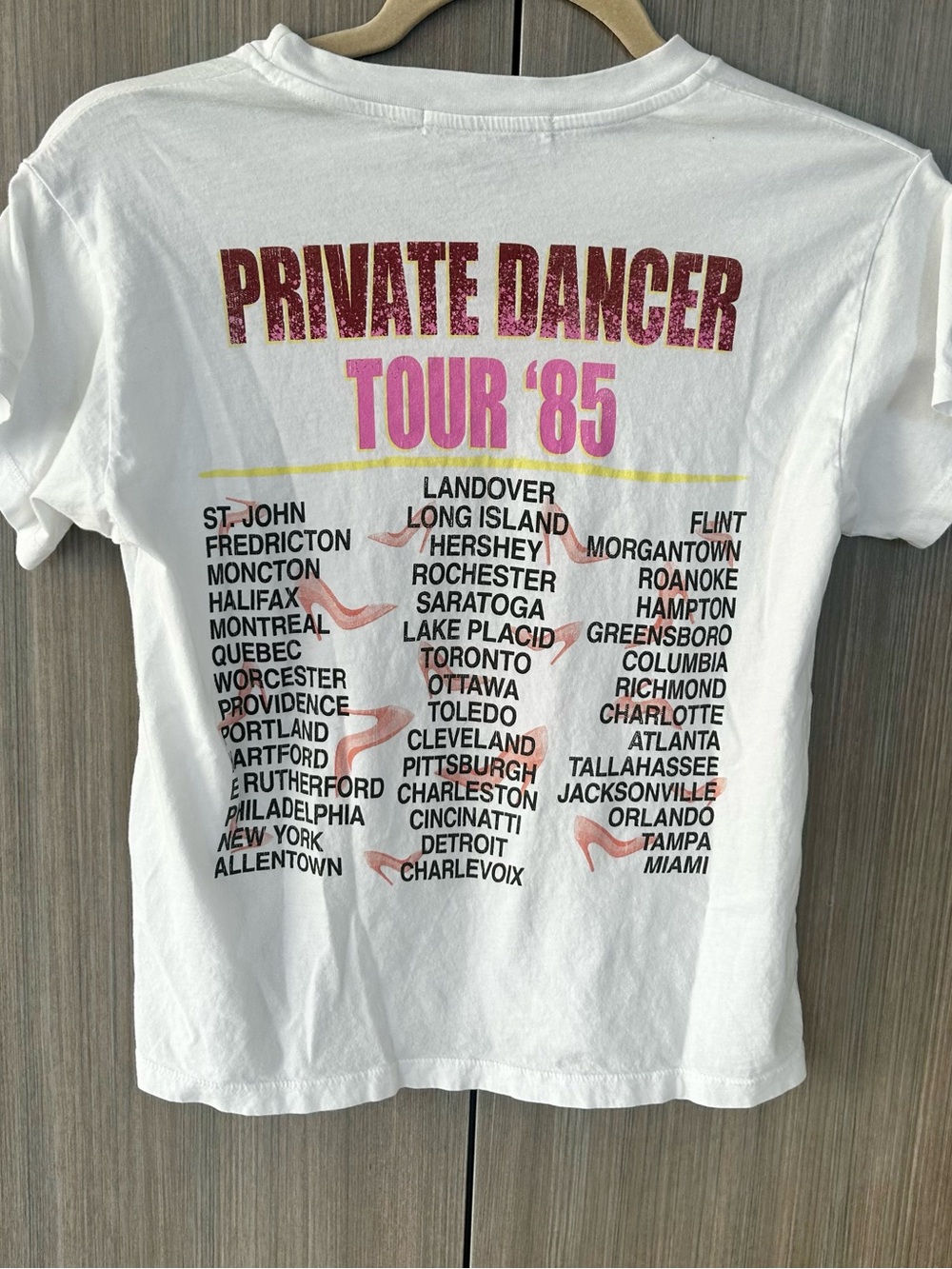 DAYDREAMER Tina Turner Tour Tee - Picture 3 of 4